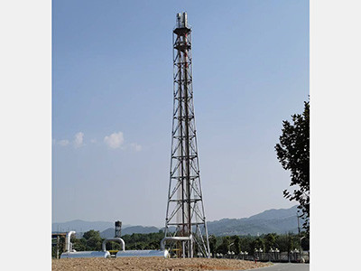 安徽華爾泰-高架火炬圖片1