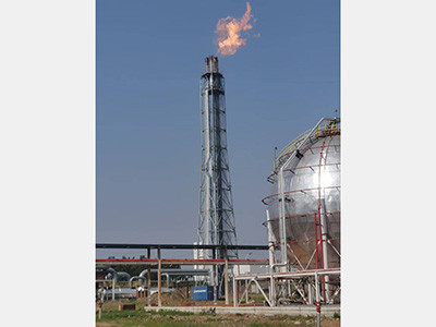 徐州龍興泰-高架火炬圖片1